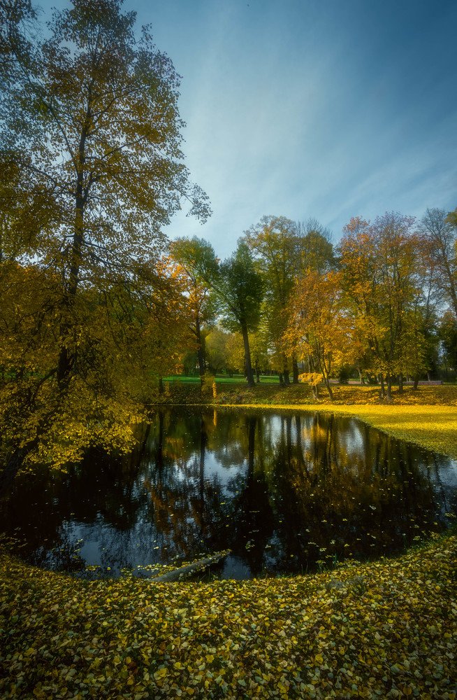 Весеная зеркала