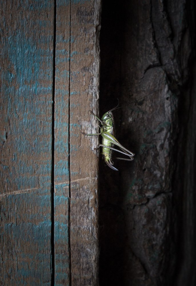Photograph by Veronika Koneva
