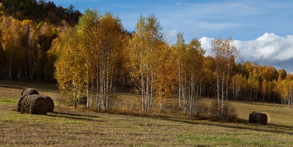 Photograph by Марина Новожилова