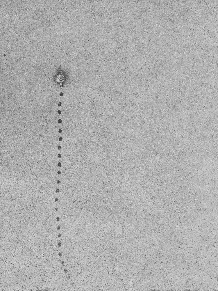 Photograph by Ксения Щербакова