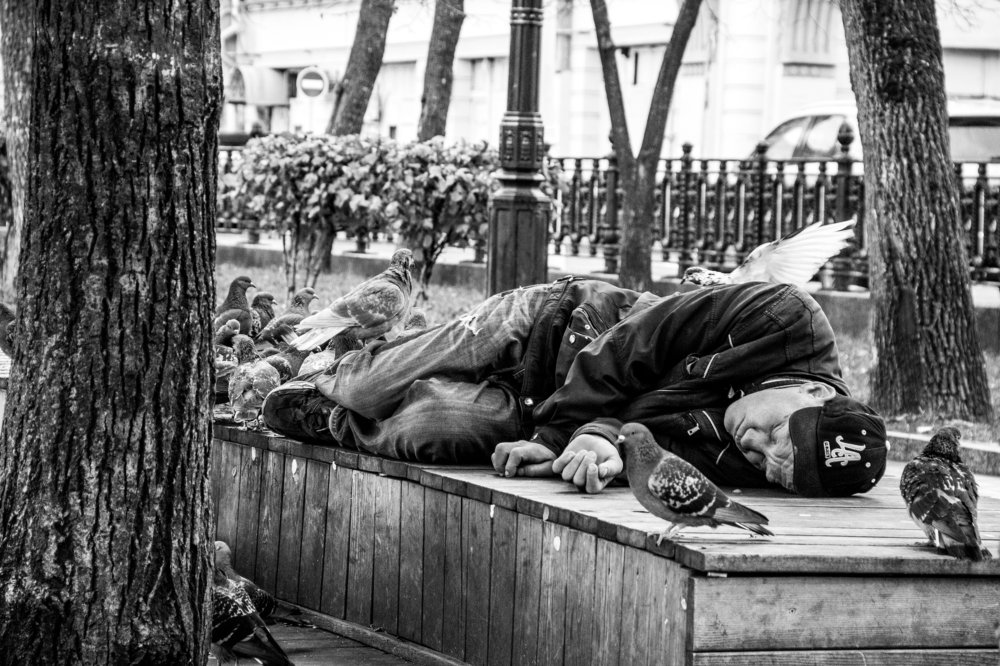 Фотография автора Вехорев Александр