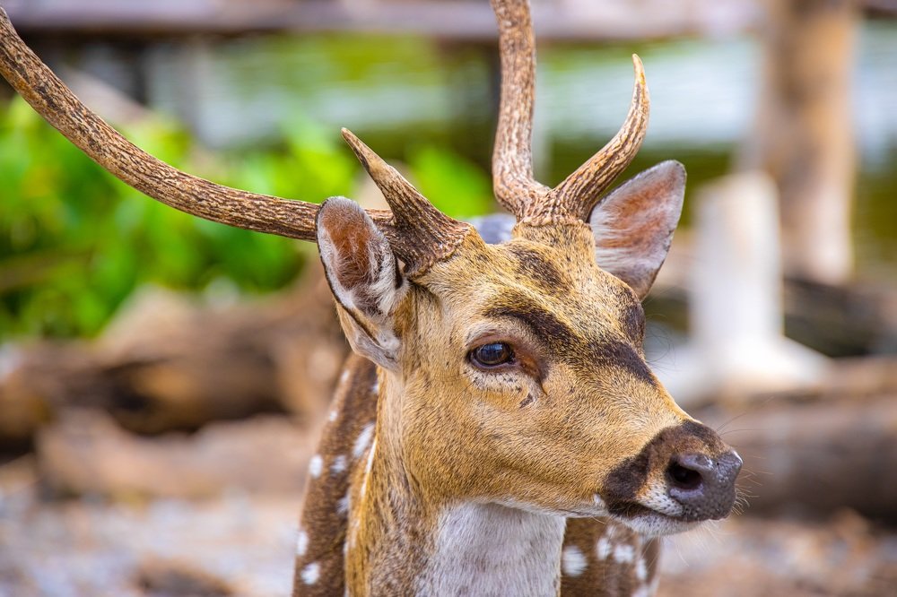 Photograph by Dem Kerrigan