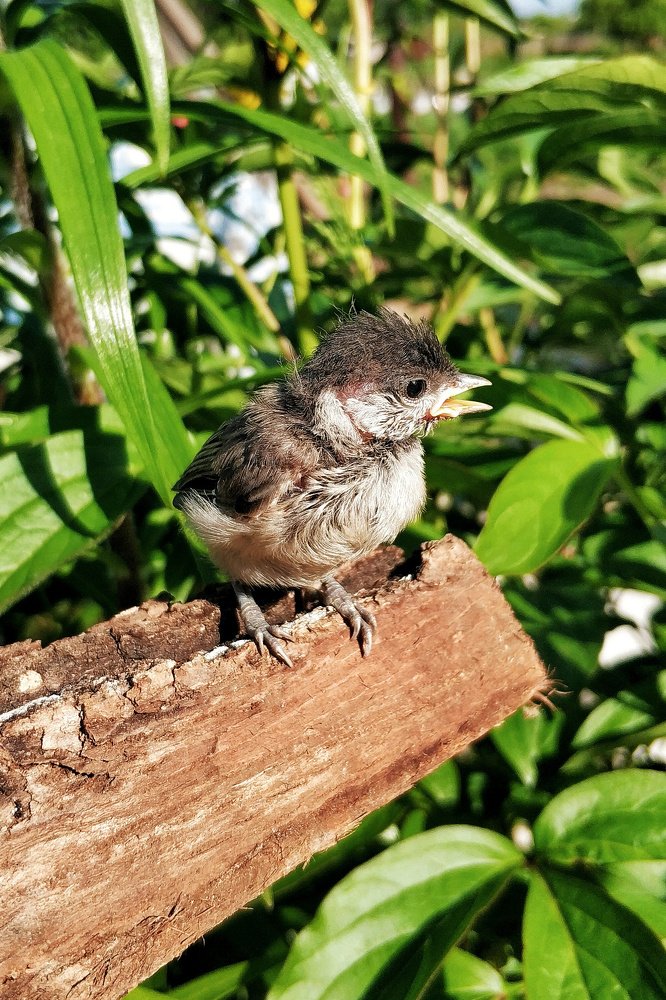 Растерянность