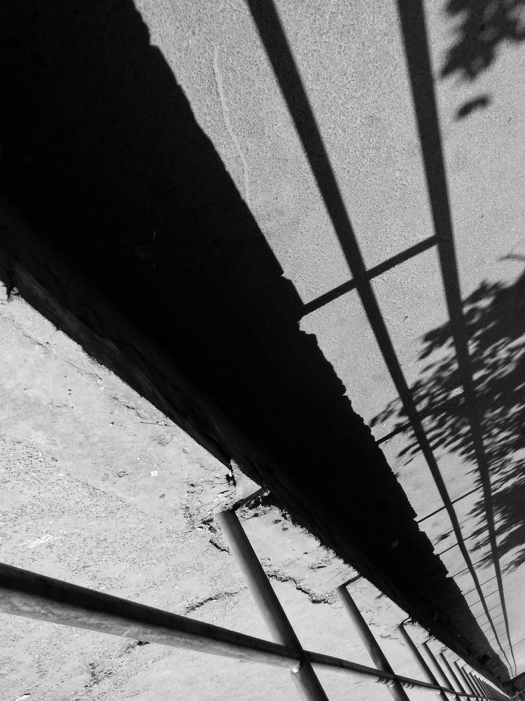 Photograph by SHALINI KASHYAP