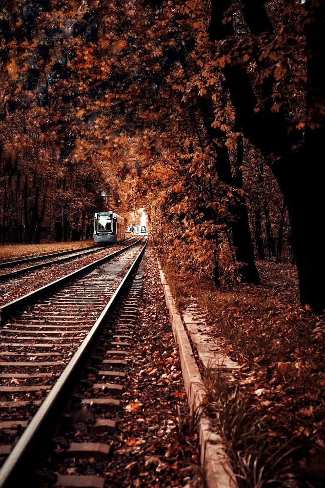 Photograph by Анастасия Гончарова