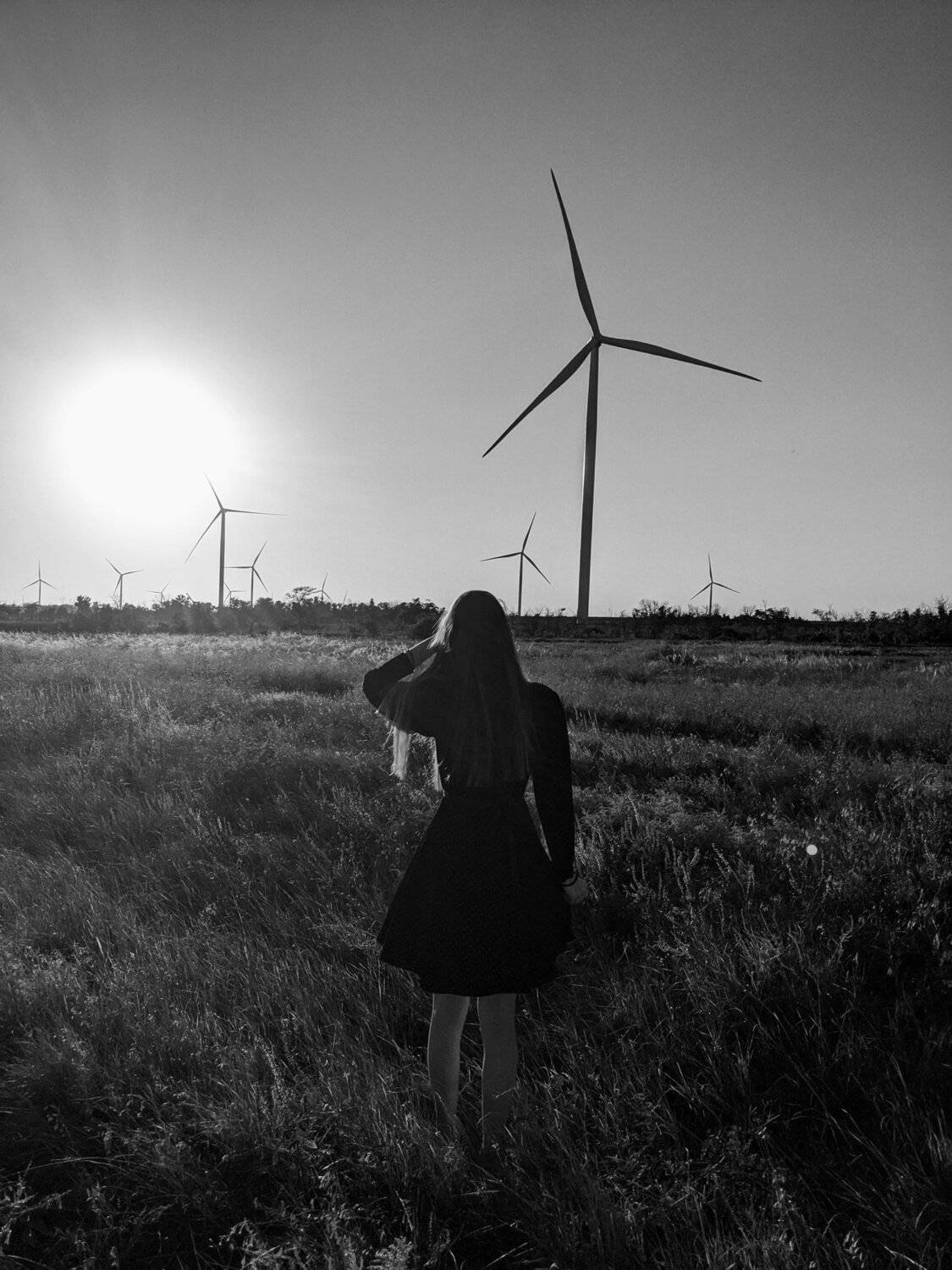 Photo #5136472