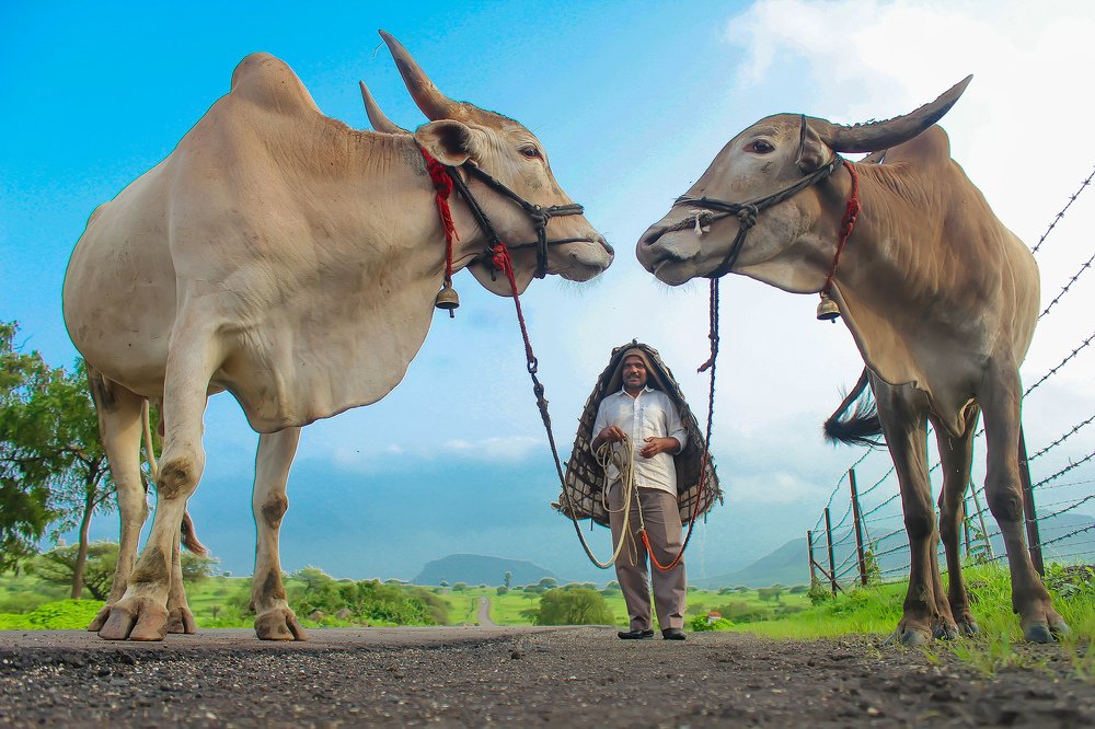 Photograph by Prathamesh Shewale