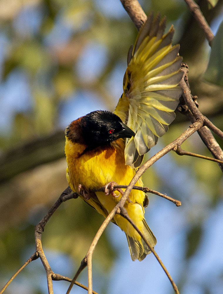Фотография автора игорь Громов