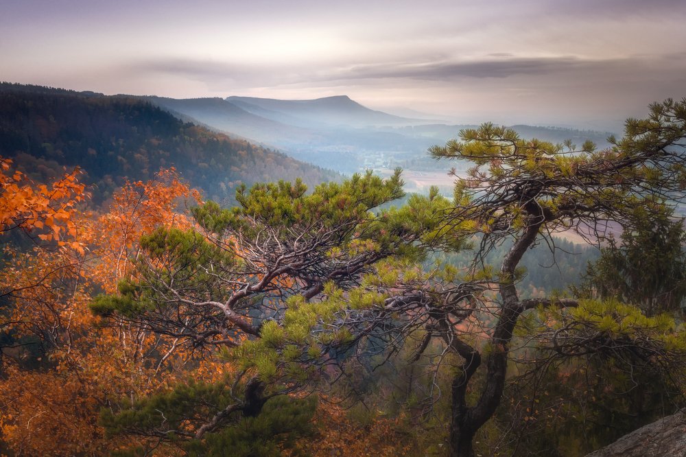 Photograph by Piotr Zagzil