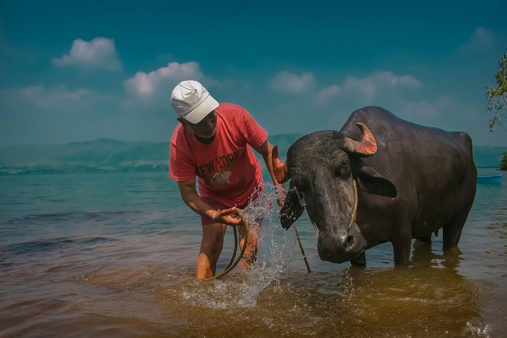 Photograph by Prathamesh Shewale