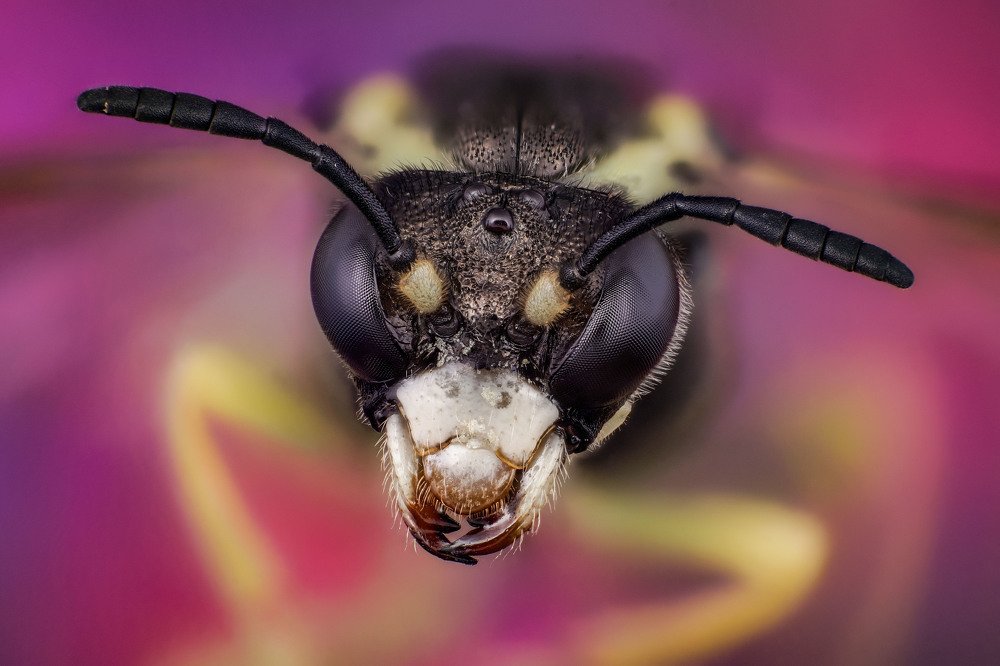 Photograph by Сергей Чупахин