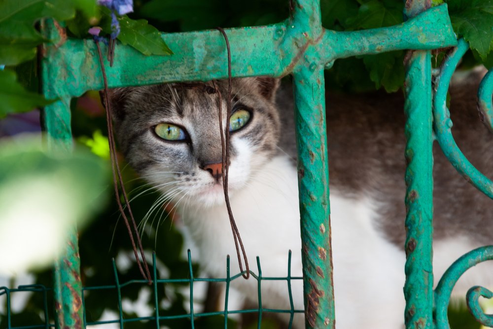 Photograph by Валентина Михайлова