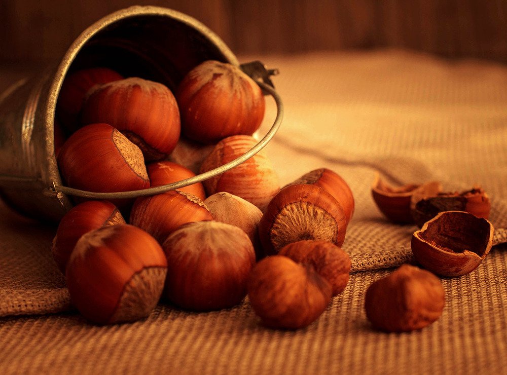 Photograph by Диляра Шарифзаде