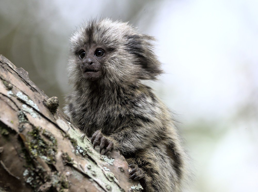 Photograph by Eduardo Bom