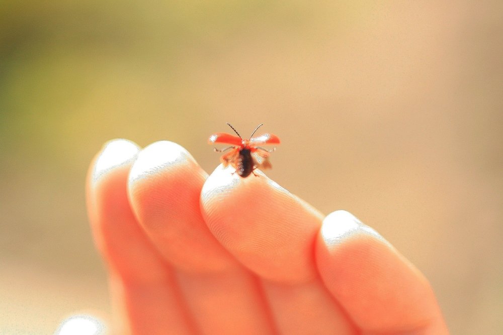 Photograph by Варвара Мелузова