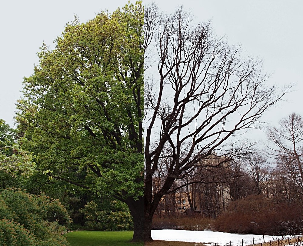 Photograph by Михаил Малец