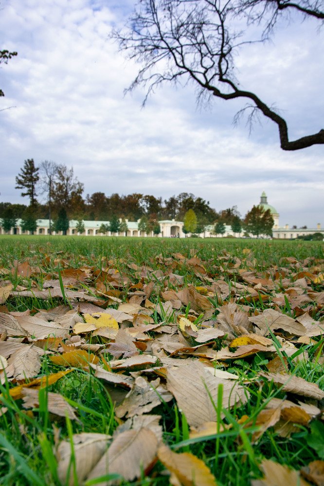 Фотография автора игорь Громов