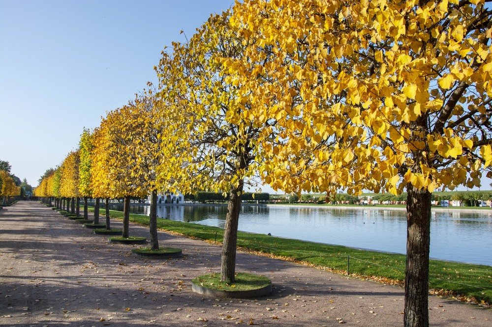 Фотография автора игорь Громов