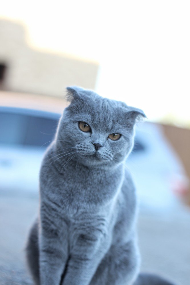 Photograph by Станислав Евдокимычев