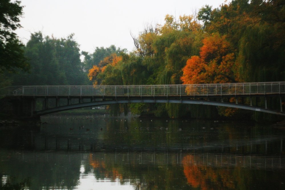 Photograph by Варвара Мелузова