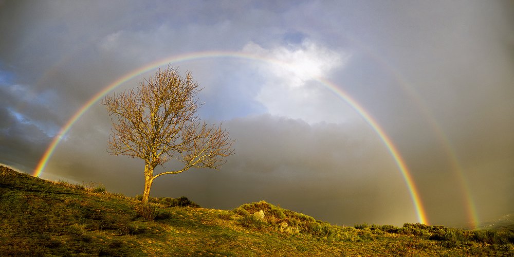 "Auréolé" - "Haloed"
