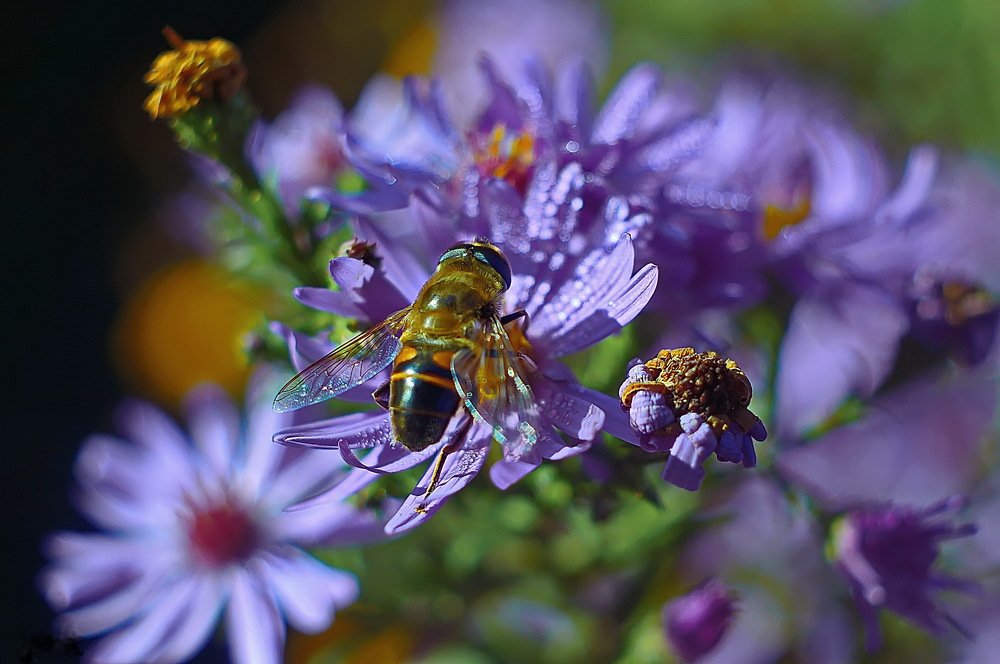 Photograph by Анатолий Святой