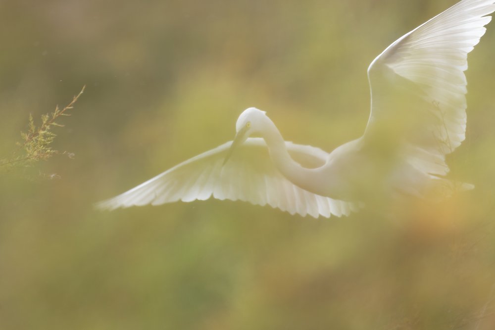 Photograph by Miguel Angel Berbegal Vazquez