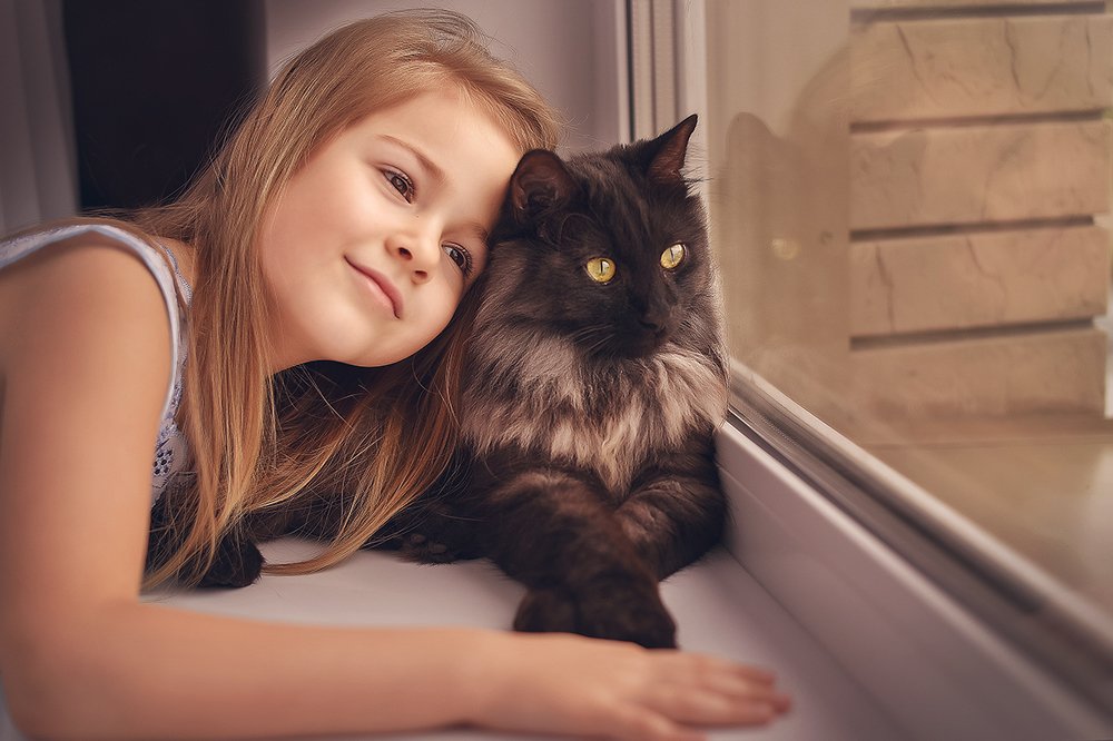 Когда дождливо, но рядом котик...