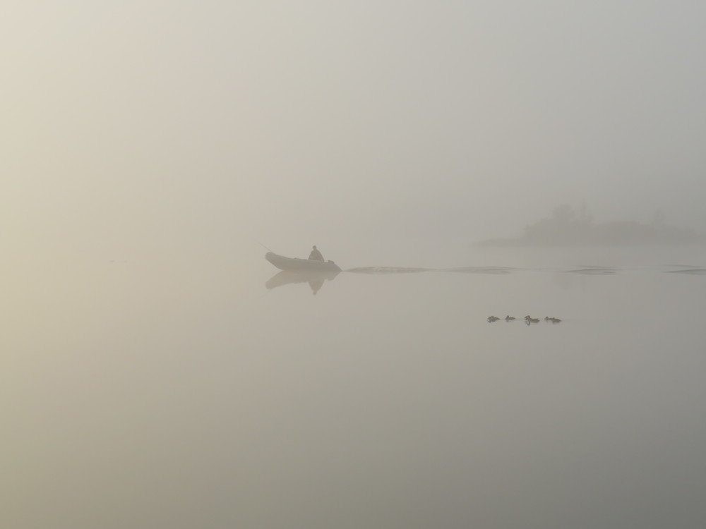 Photograph by Петровская Ольга
