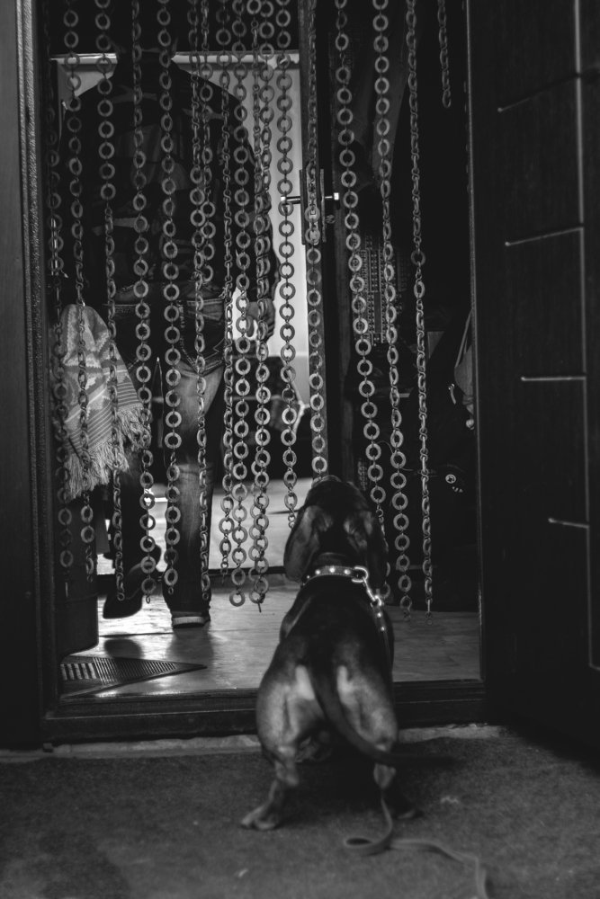 - Ты надолго меня оставляешь?