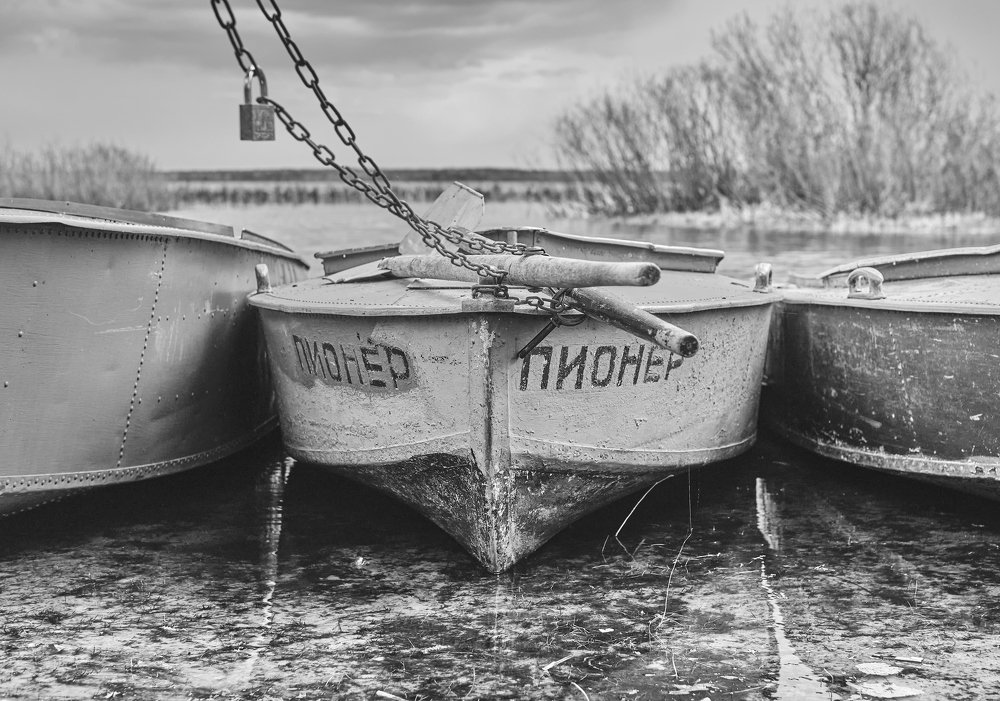 Photograph by Dmitry K