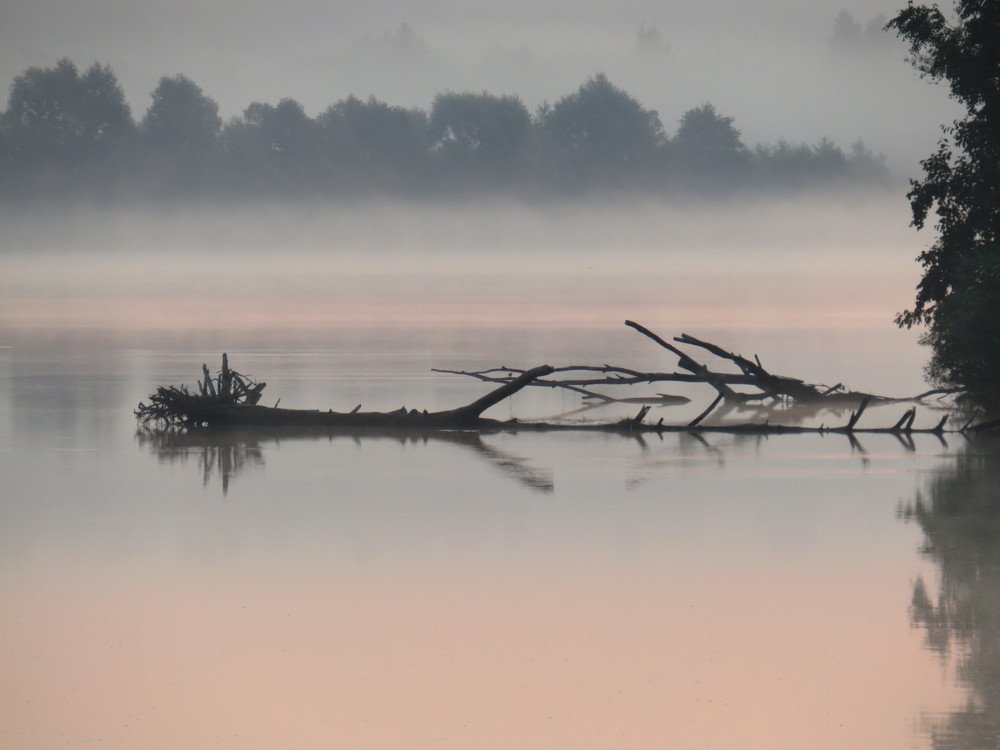 Photo #5136983