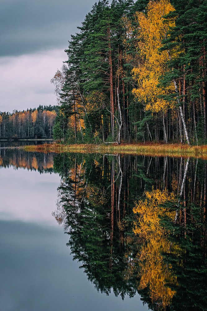 Photograph by Gaļina