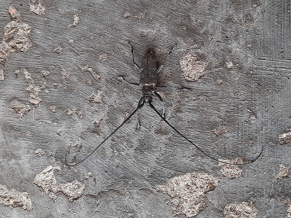 Photograph by Ольга Харламова