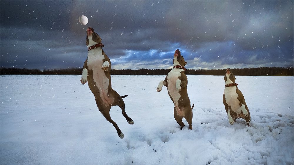 Photograph by Наталия Корзина