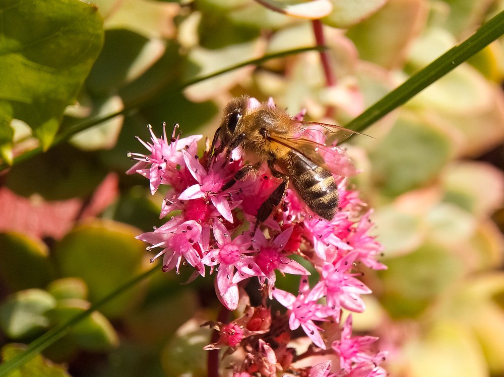 Photograph by Диана Кошелева