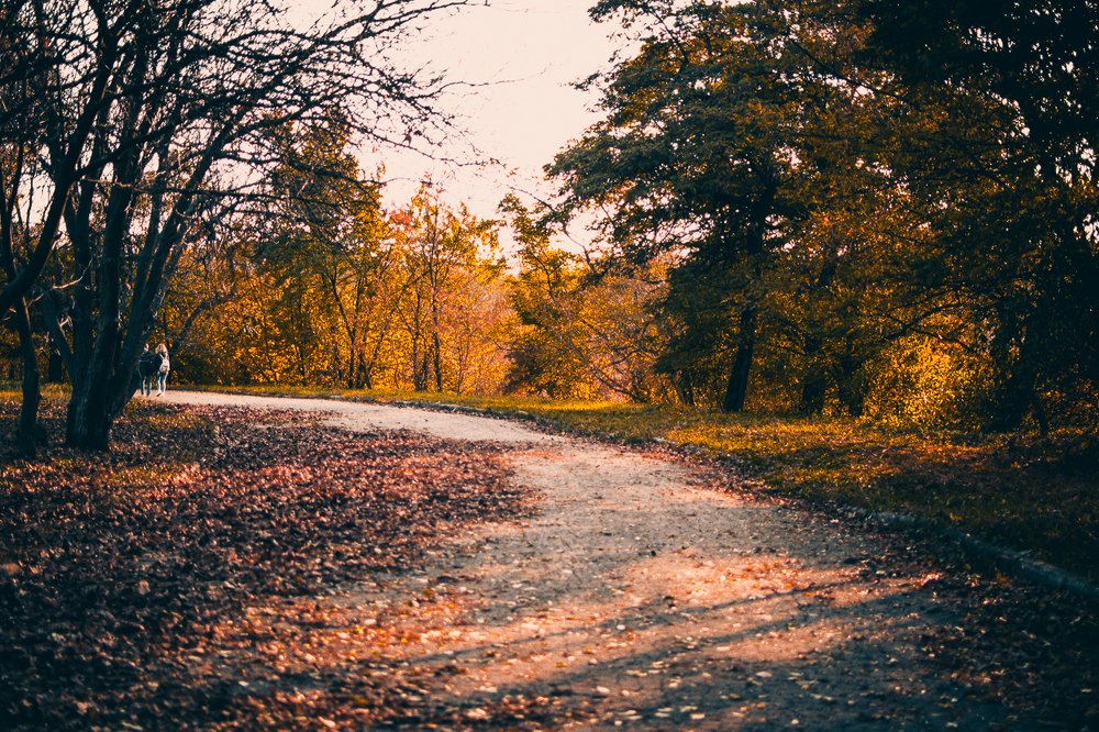 Photograph by Светлана Ветрова