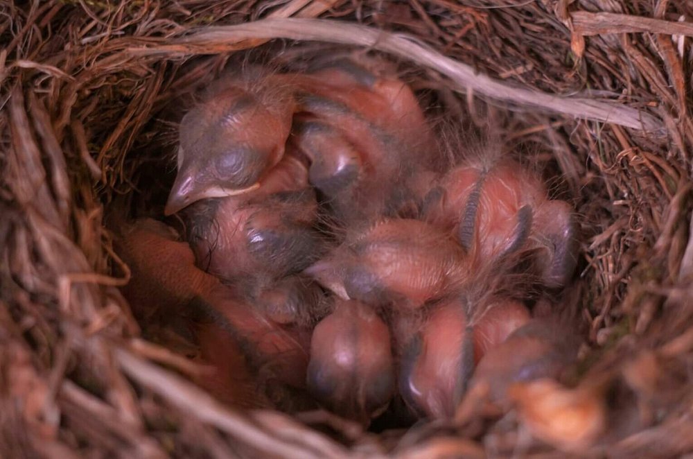 Photograph by Алексей Стрижаков