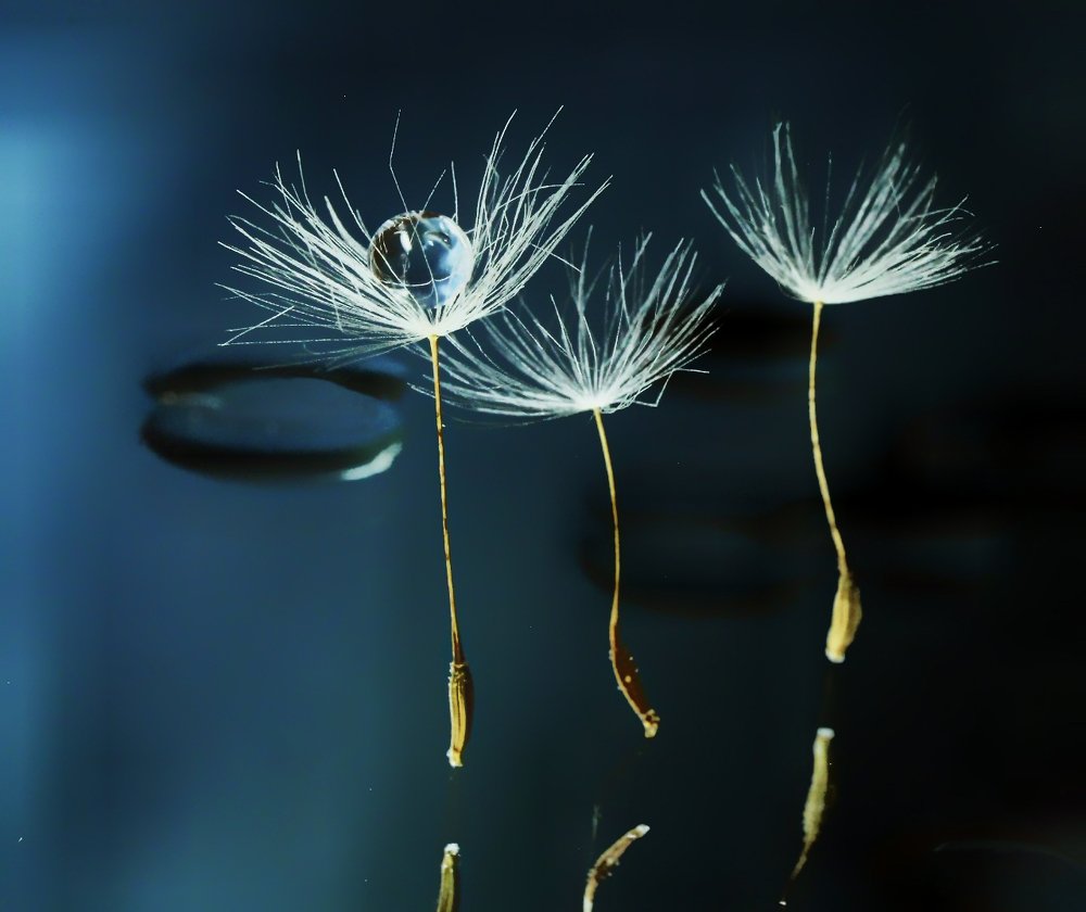 Photograph by Ольга Потапова