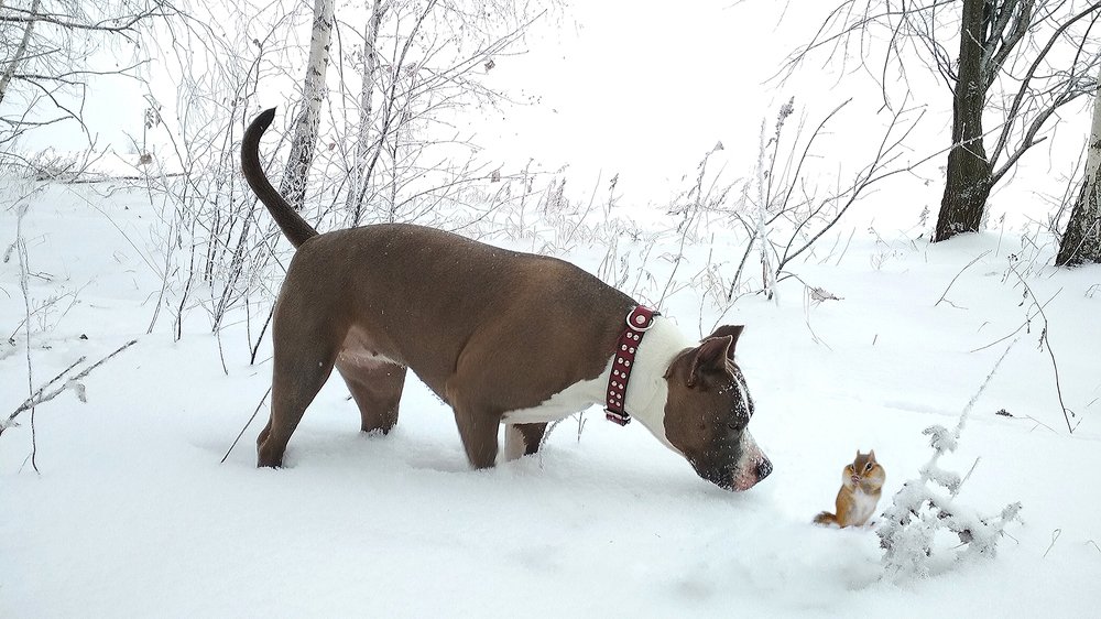 Photograph by Наталия Корзина