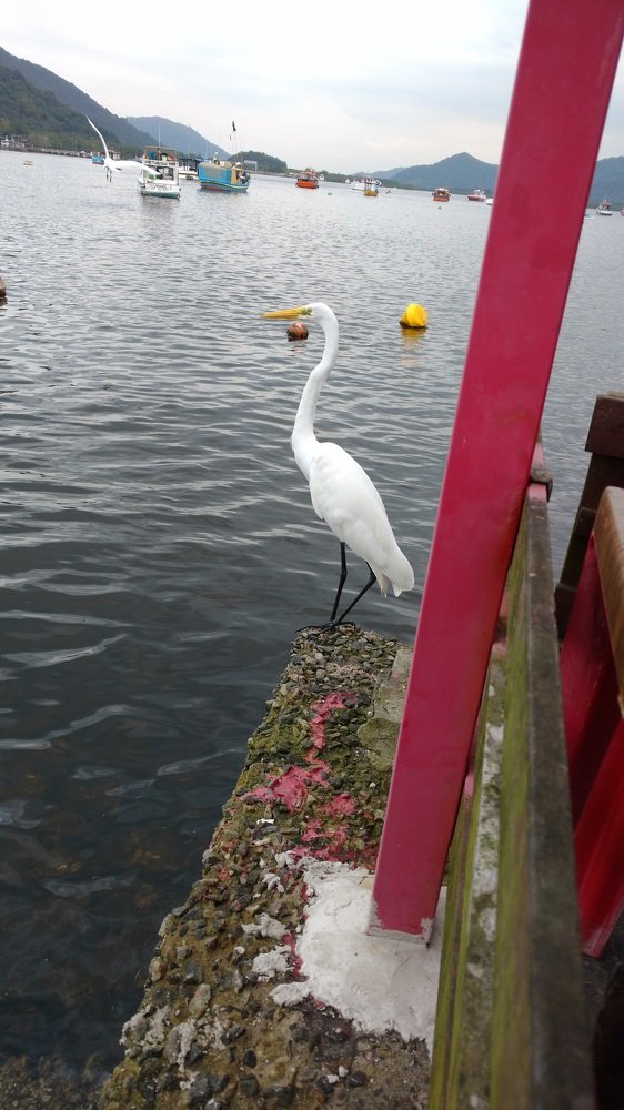 Photograph by Marcelo Nascimento