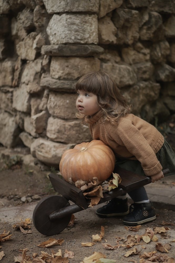 Сбор урожая.