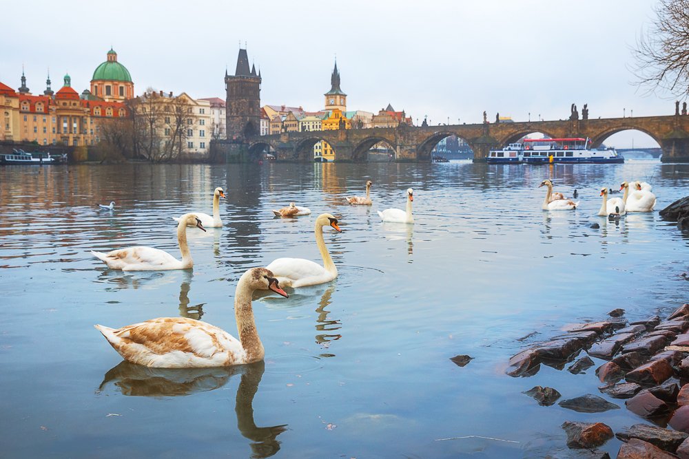 Photograph by Бабкина Юлия