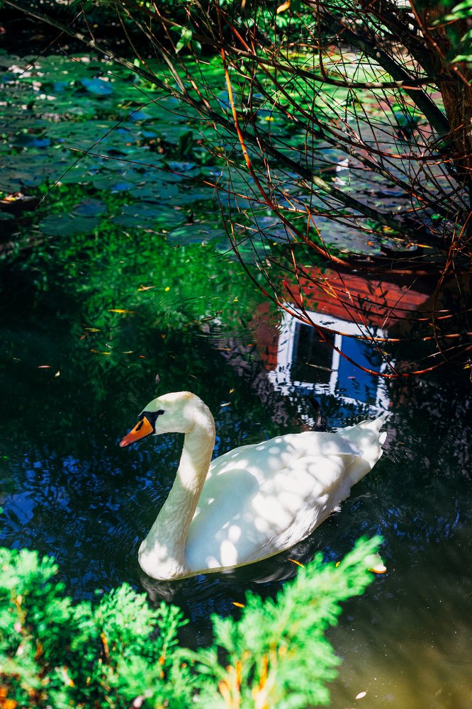 Photograph by Екатерина Кваша