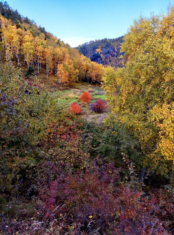 Photograph by Софья Бунтовская