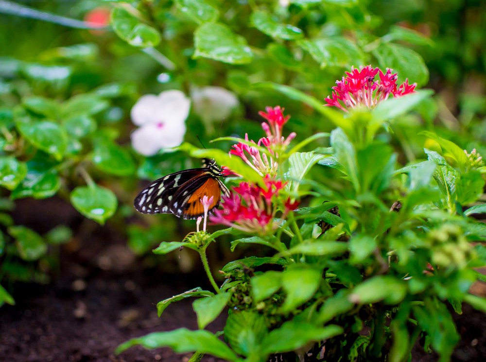 Photograph by Светлана Ветрова