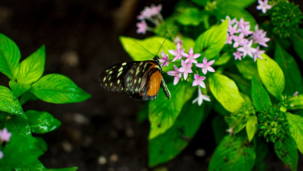 Photograph by Светлана Ветрова