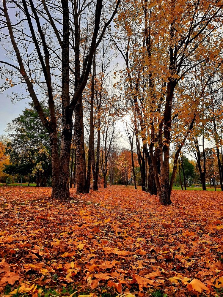 Photograph by Марина Игнатьева