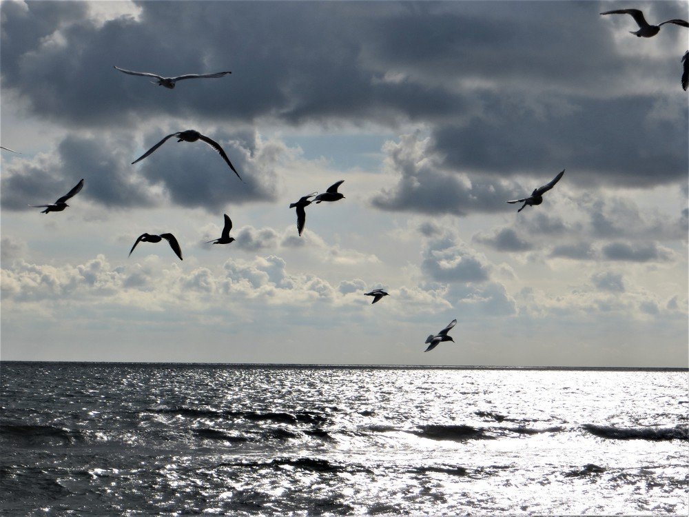 Photograph by Галина