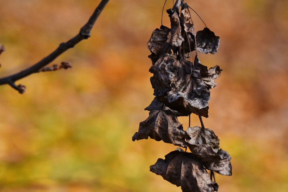 Photograph by Юрий Платухин